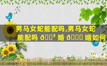 男马女蛇能配吗,男马女蛇能配吗 🐳 婚 💐 姻如何